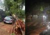 Temporal derruba árvores e causa alagamentos em MS; veja a previsão